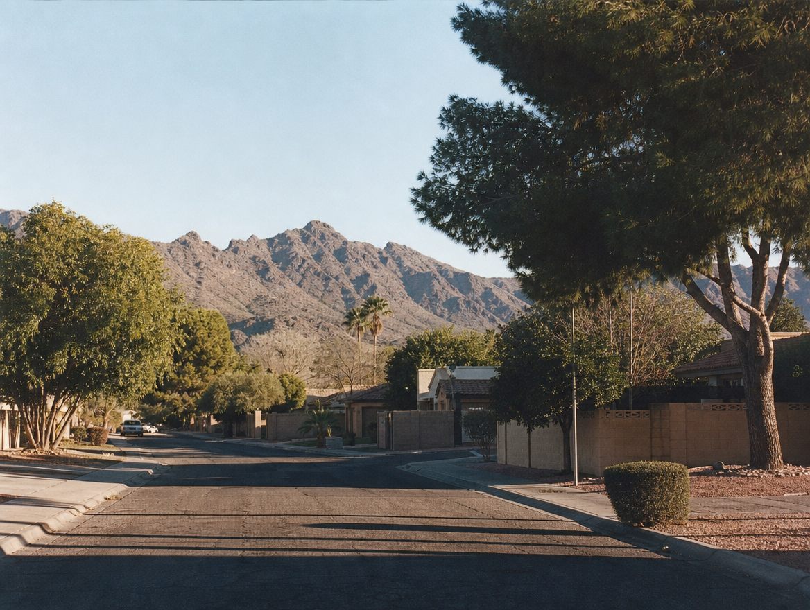 Tree service in Avondale, AZ