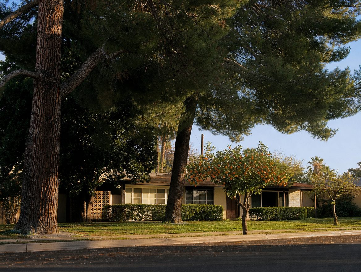 Tree service in Glendale, AZ
