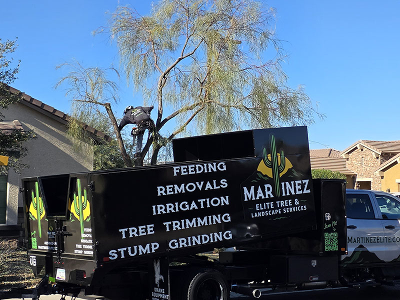 Martinez crew member climbing a tree above the branded chip truck at a Goodyear-area home